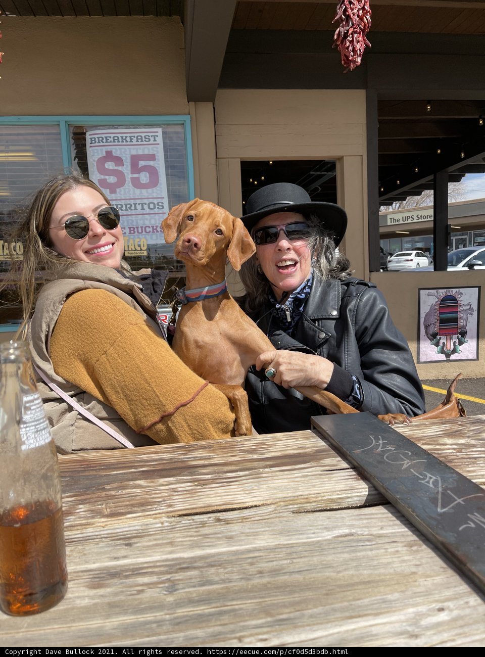 Two Women and a Dog Enjoying a Drink at a Wooden Table