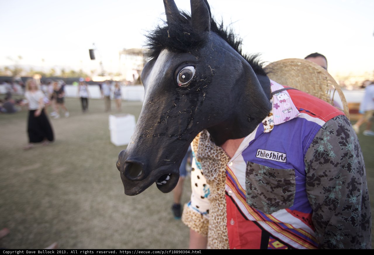 Horse-Headed Human