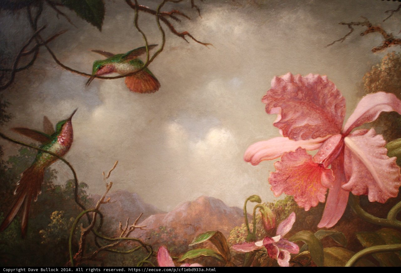 Hummingbird and Orchid Painting
