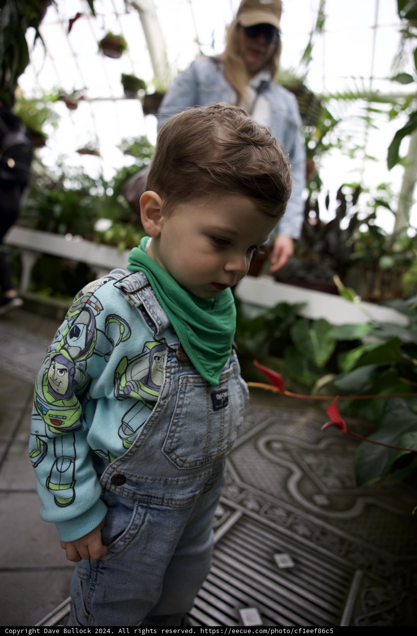 Childhood Wonder in Greenhouse Splendor