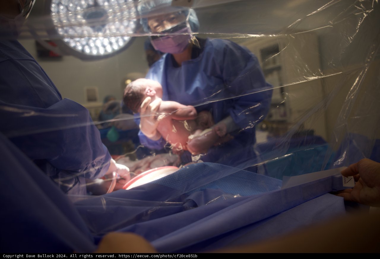 Welcome to the World, Leland