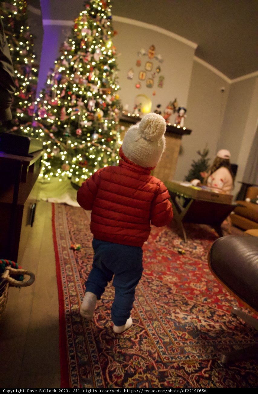 Christmas Magic with Wesley in 2023
