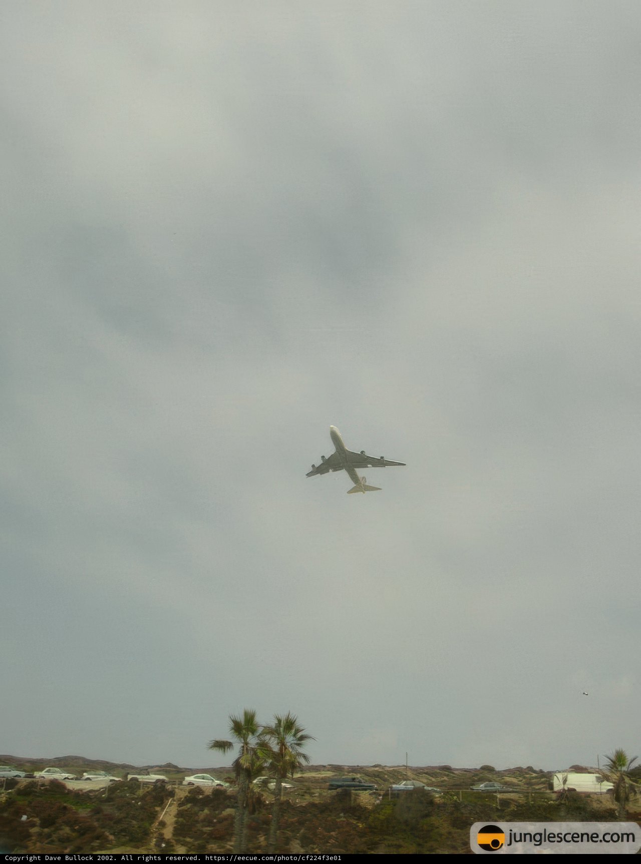 Majestic Airliner in Flight