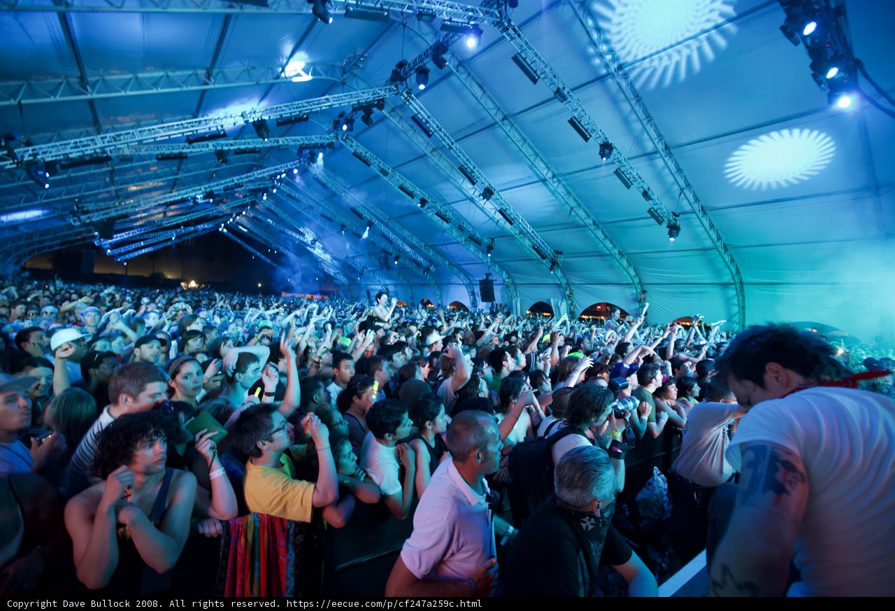 Electric Crowd at 2008 Coachella
