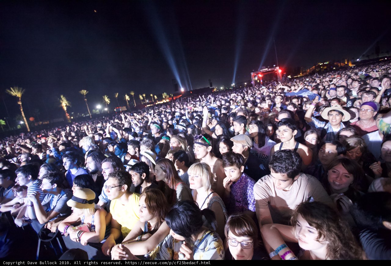 Concert Night Owls