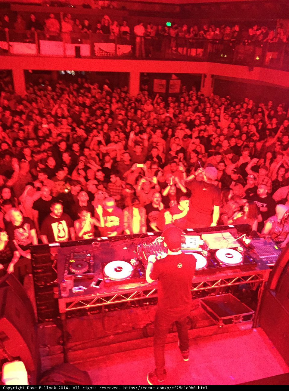 Nightclub Performance