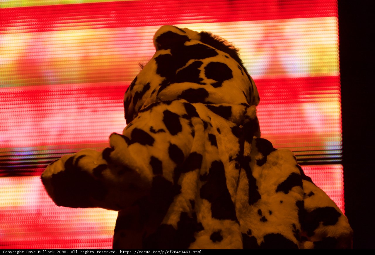 Dalmatian Delight