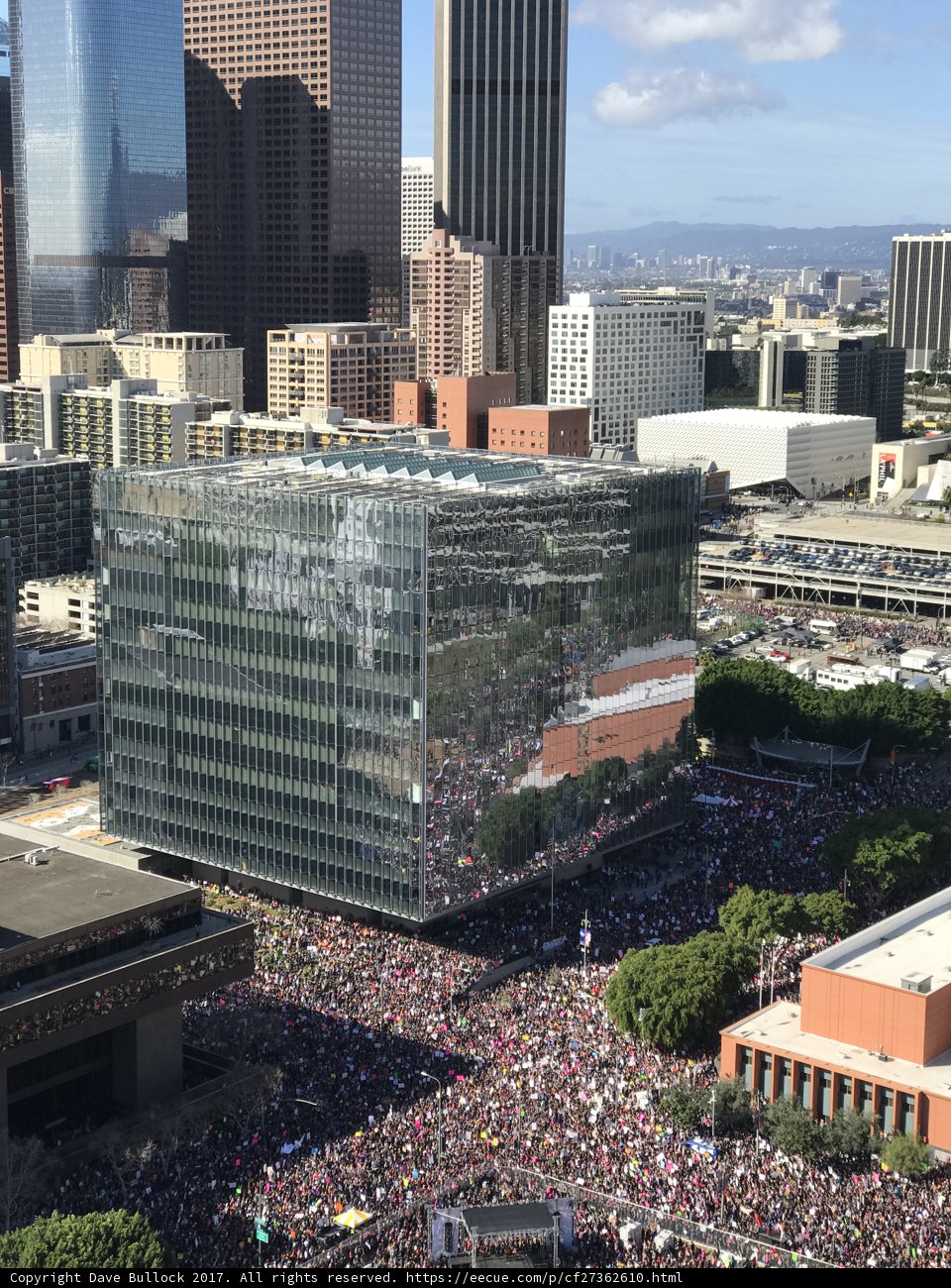 Crowded Metropolis