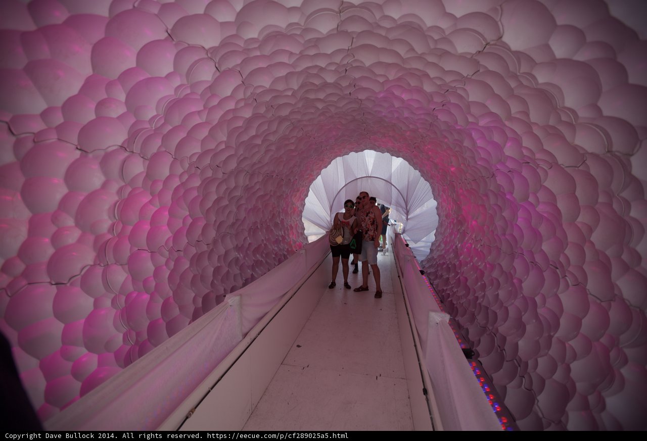 A Tunnel of Pink Balloons