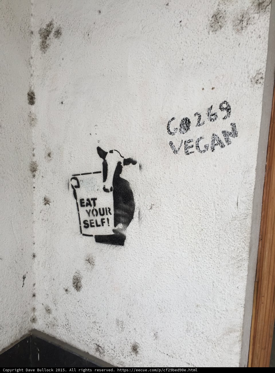 Vegan Activism Street Art