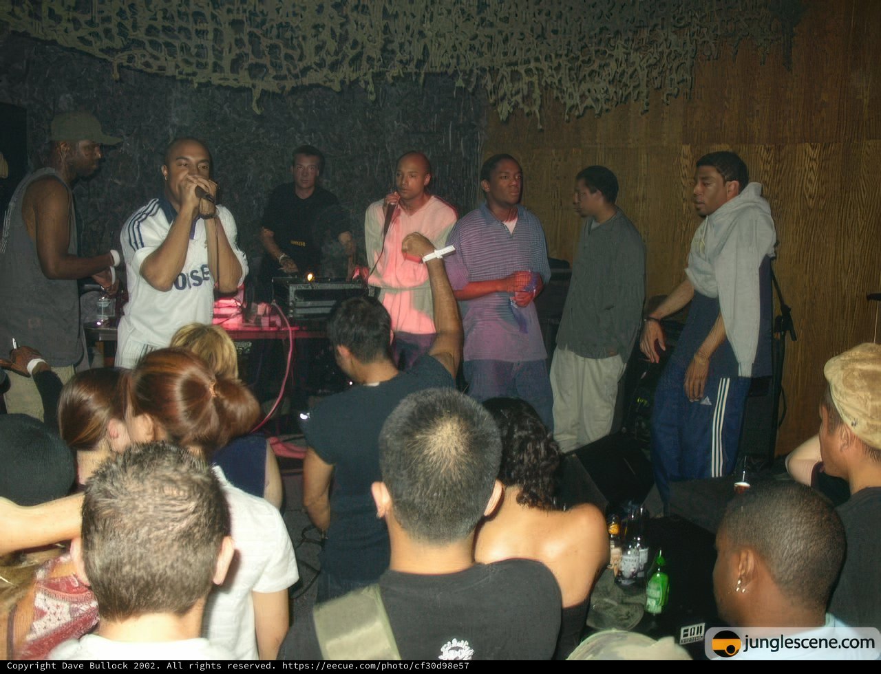 Night Club Performance