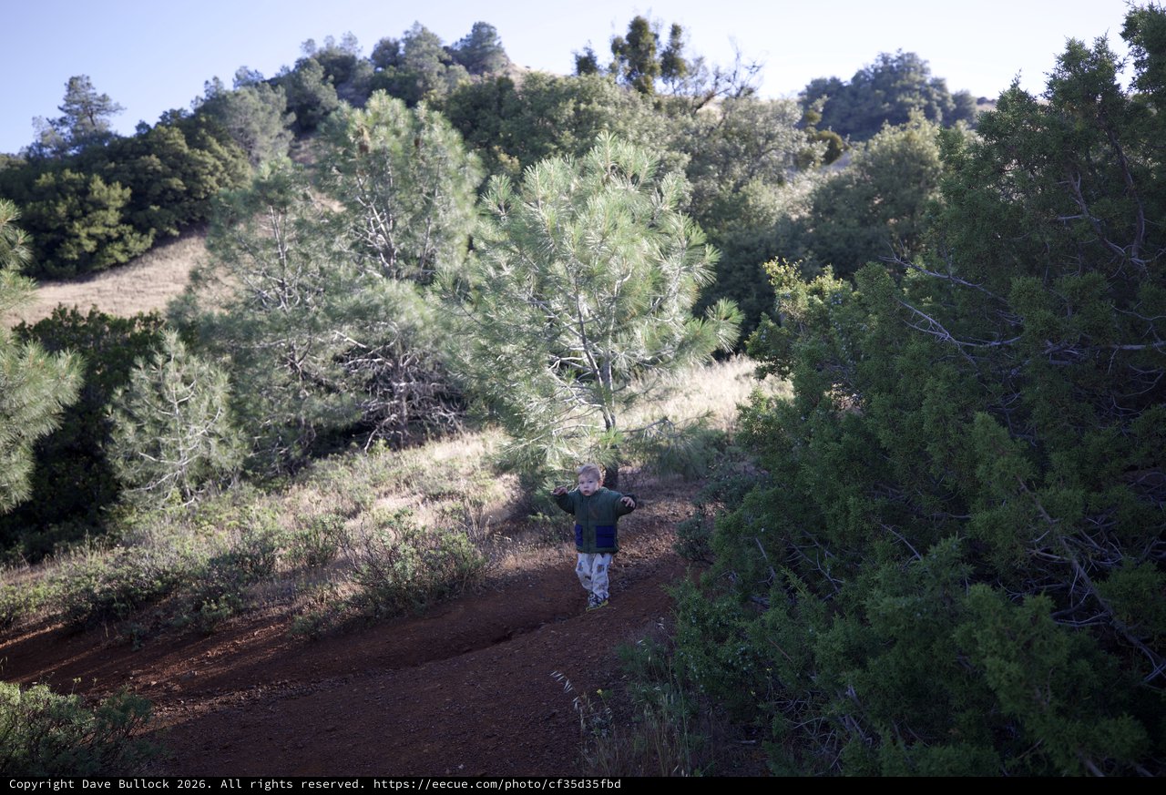 Young Explorer Conquering the Trails of Mount Diablo