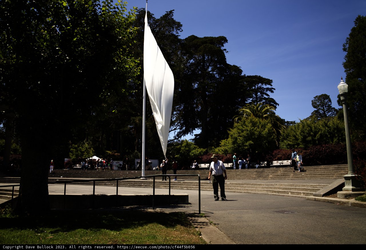 The Journey of a Modern Flag Bearer