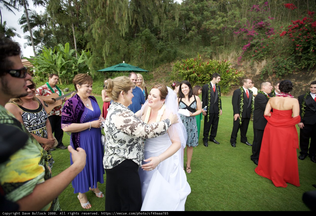 A Wedding to Remember