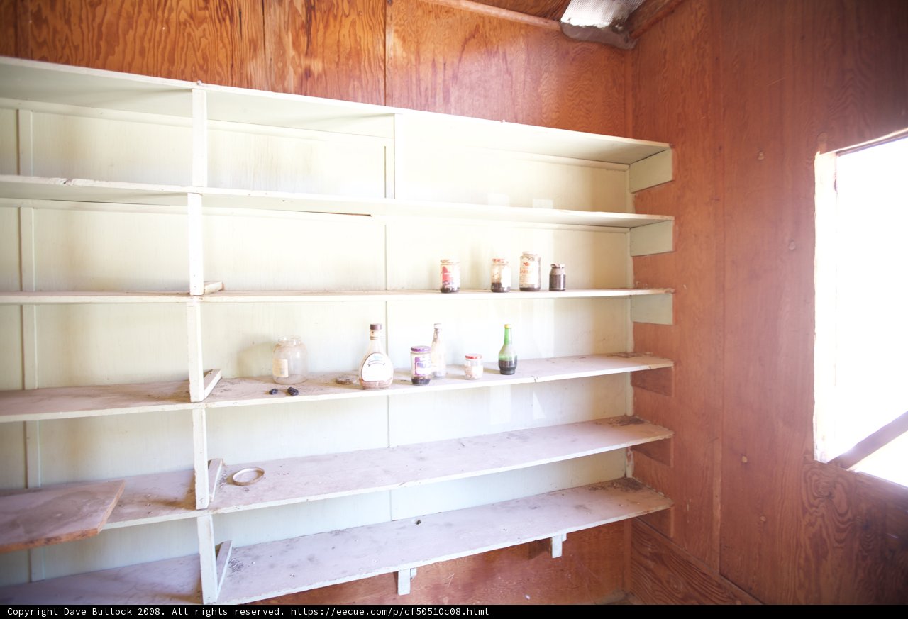 Rustic Shelves in an Adventurer's Oasis