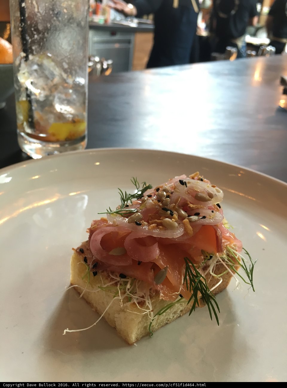 Salmon Delight