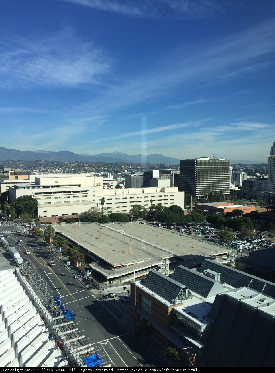 Overlooking the Urban Jungle