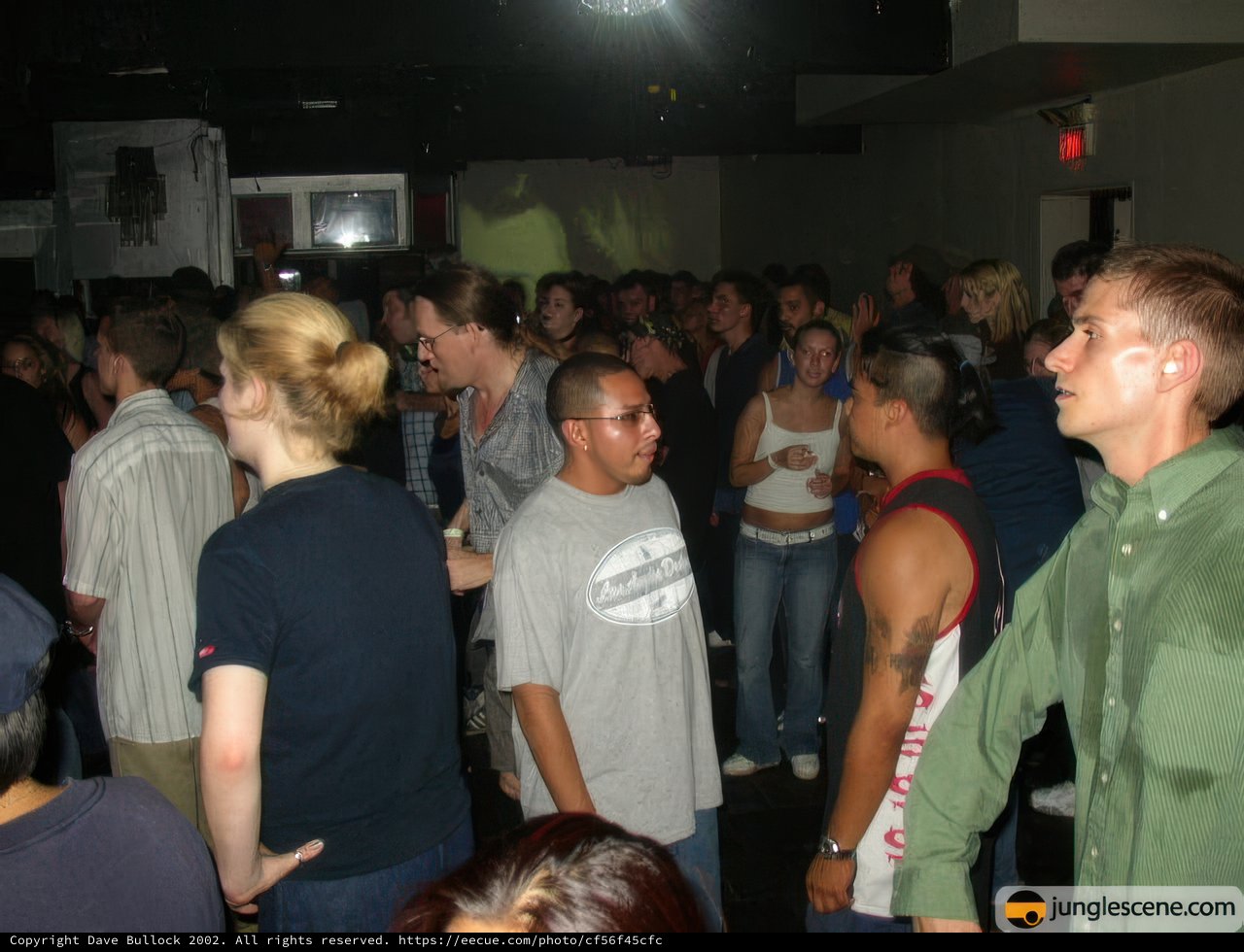 Nightclub Gathering