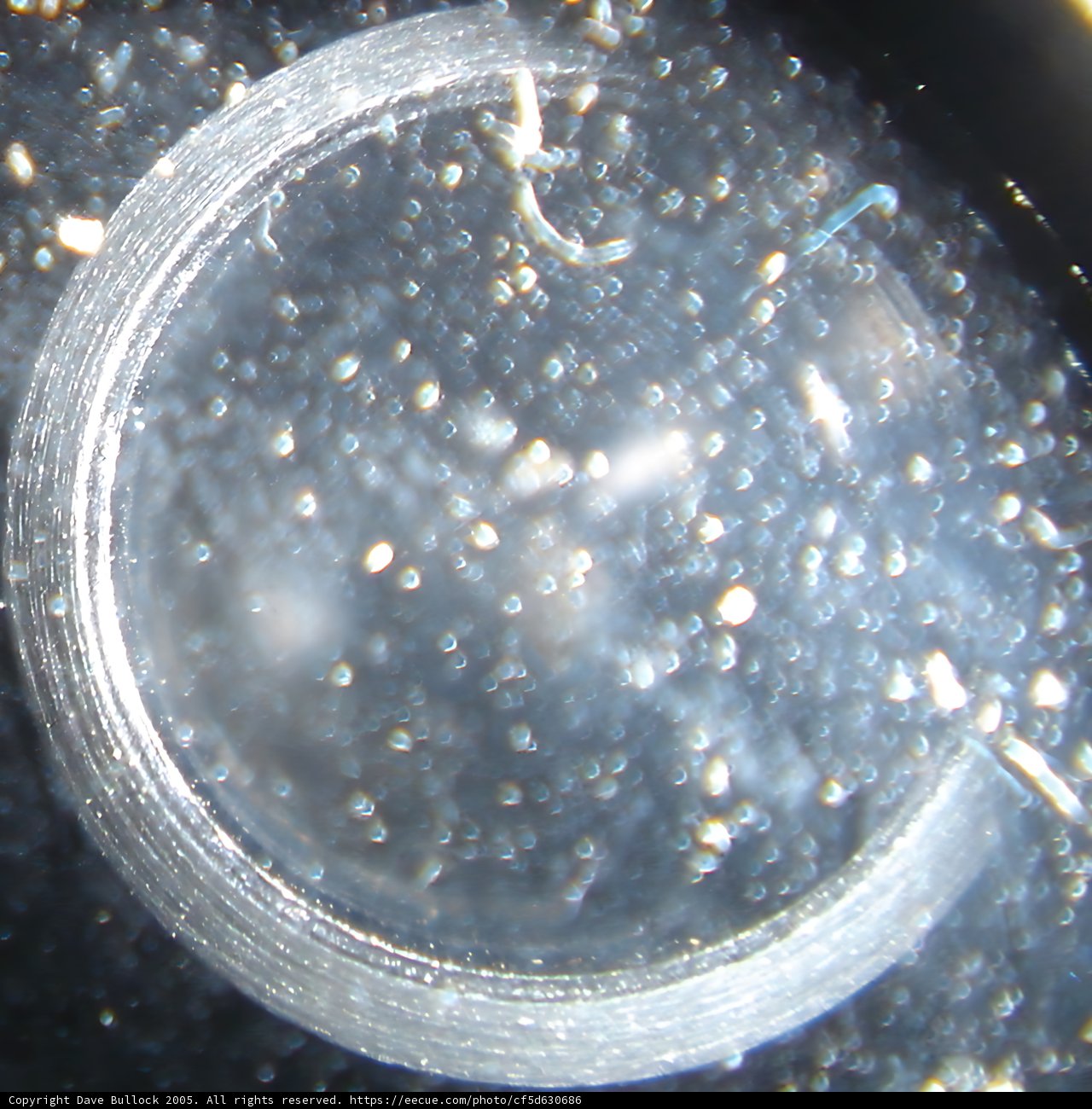 Porthole of the Machine