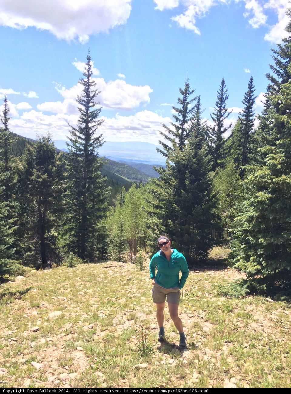 Summit View