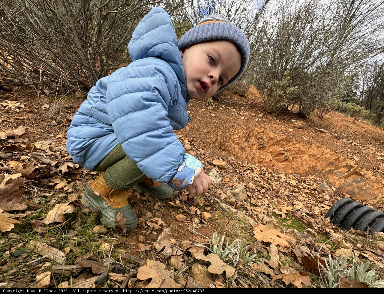 Exploring Innocence Amid Autumn Leaves