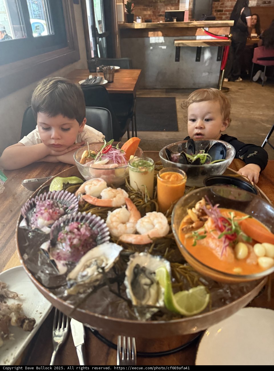 Curious Appetites