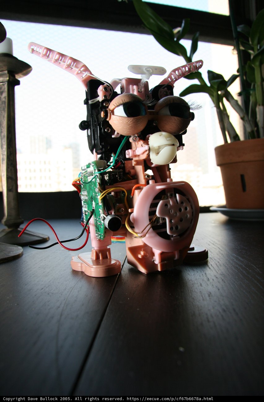 Robotic Plant Companion
