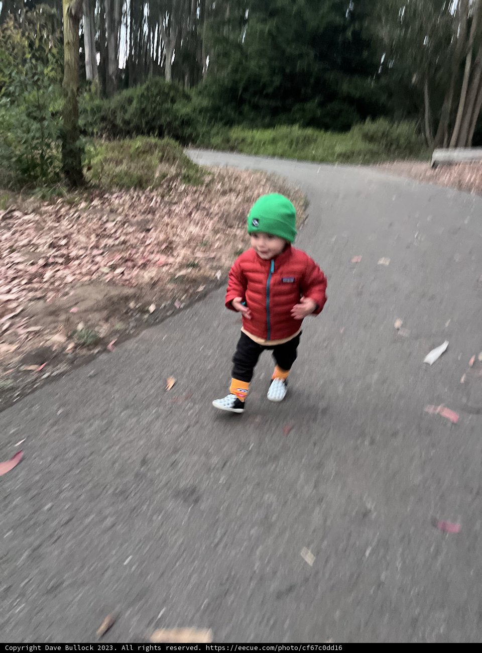 Skateboarding in the Wilderness - A child's adventure in Presidio