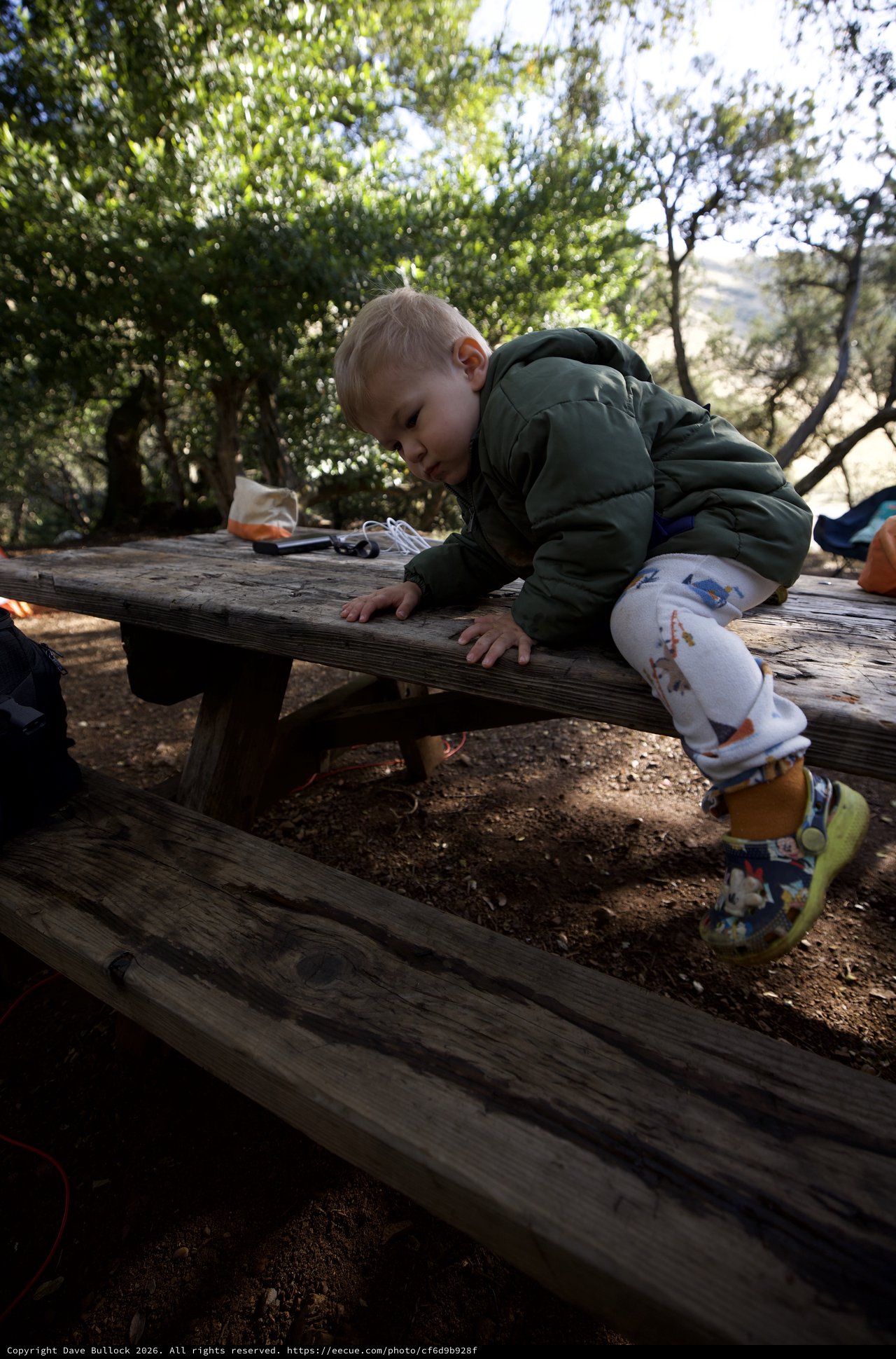 Fearless Toddler Conquers Campsite Picnic Table