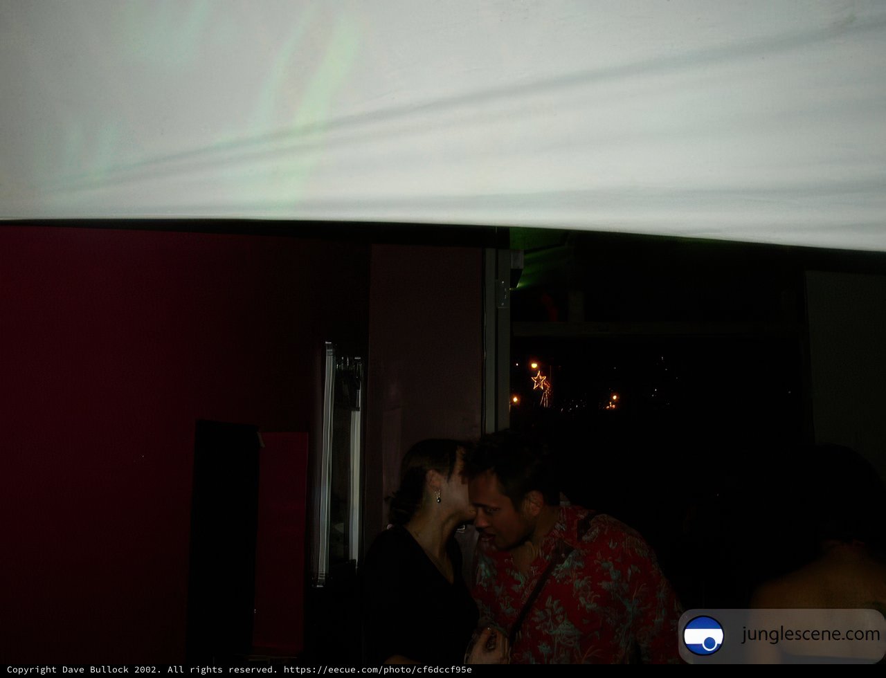 Hushed Romance Under the Screen