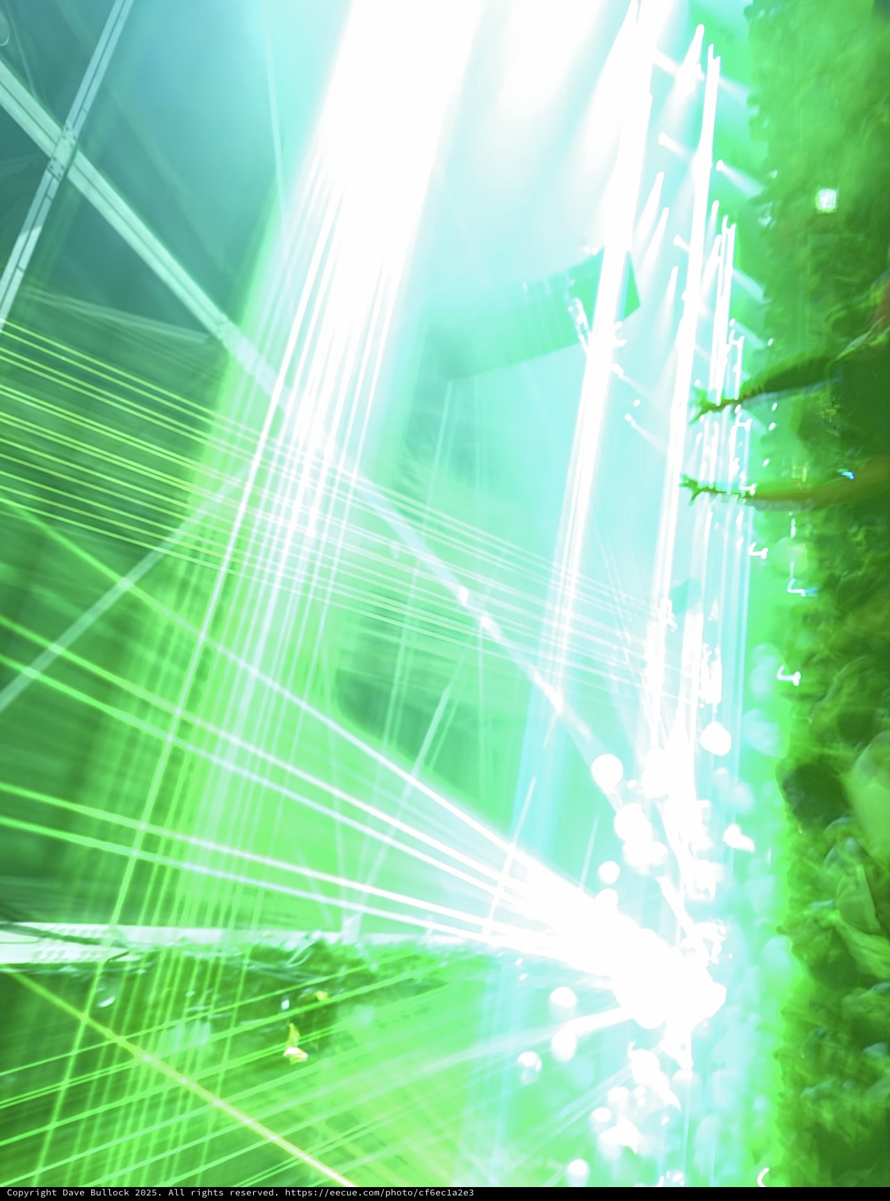 Explosive Green Laser Light Show at Electronic Music Concert