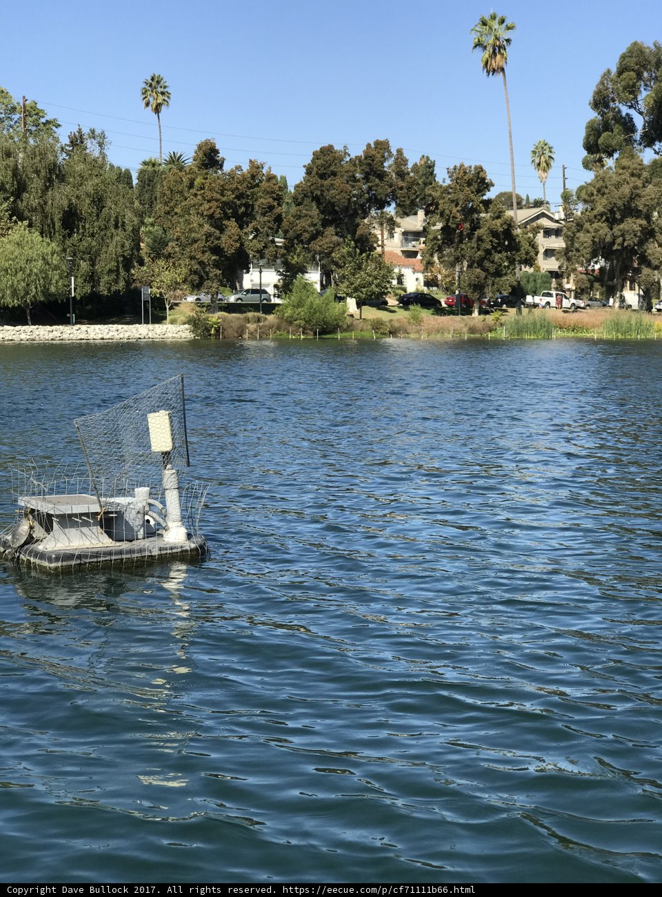 Tranquil Sailboat on a Summer Lake