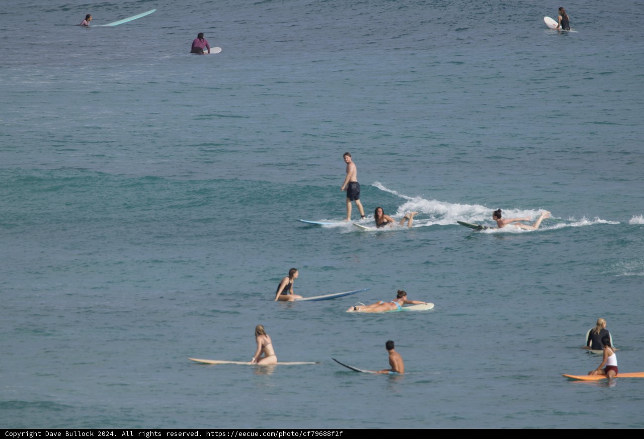 Surf's Up! A Day of Waves and Wonders in Hawaii