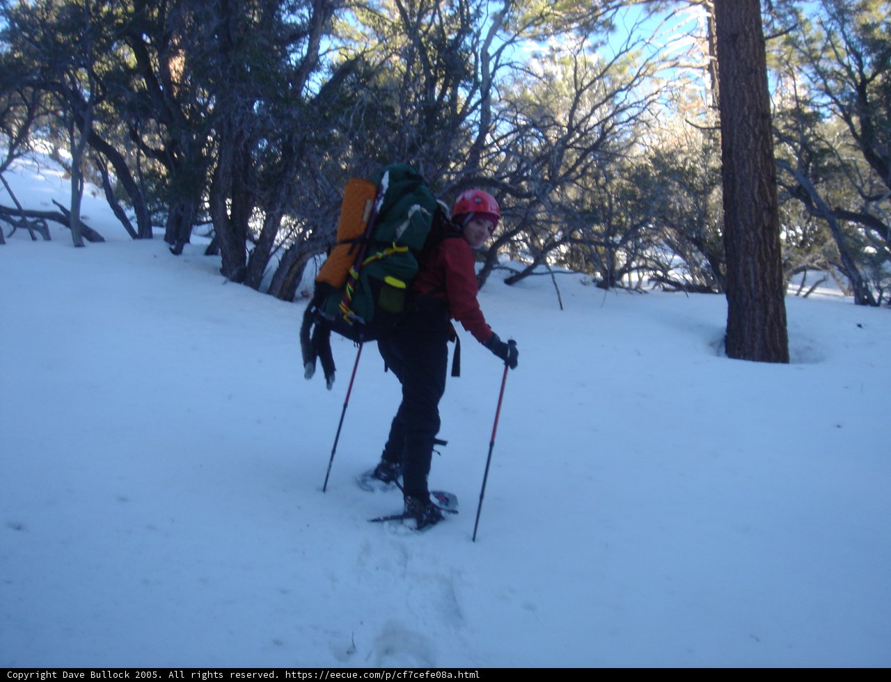 Winter Hiking Adventure