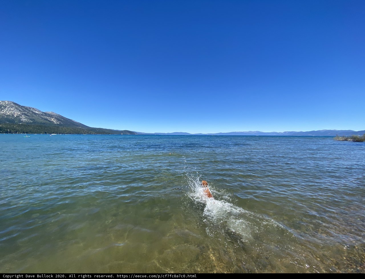 Swimming in the Scenic Lake Tahoe