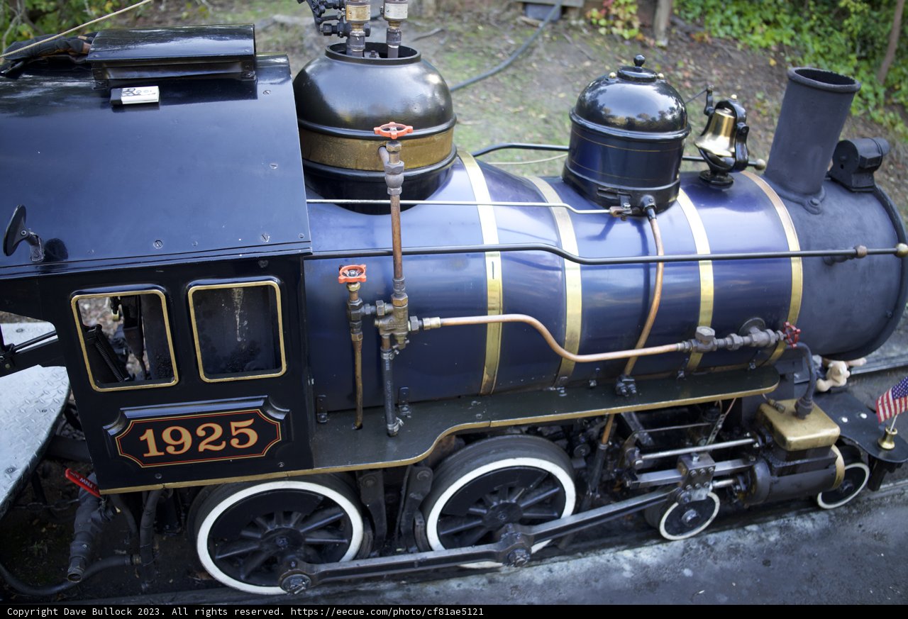 Roaring Steel Behemoth - The Locomotive