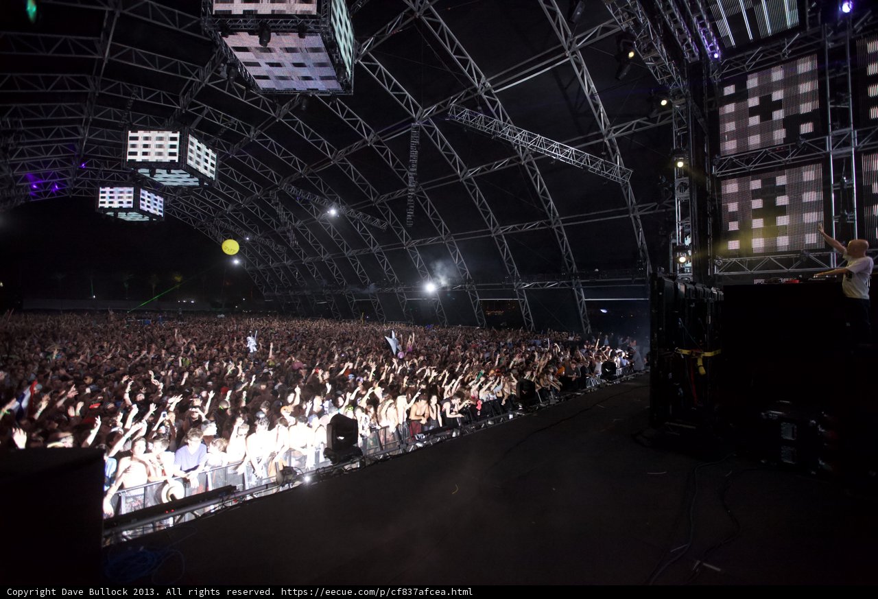 The Electric Crowd at Coachella
