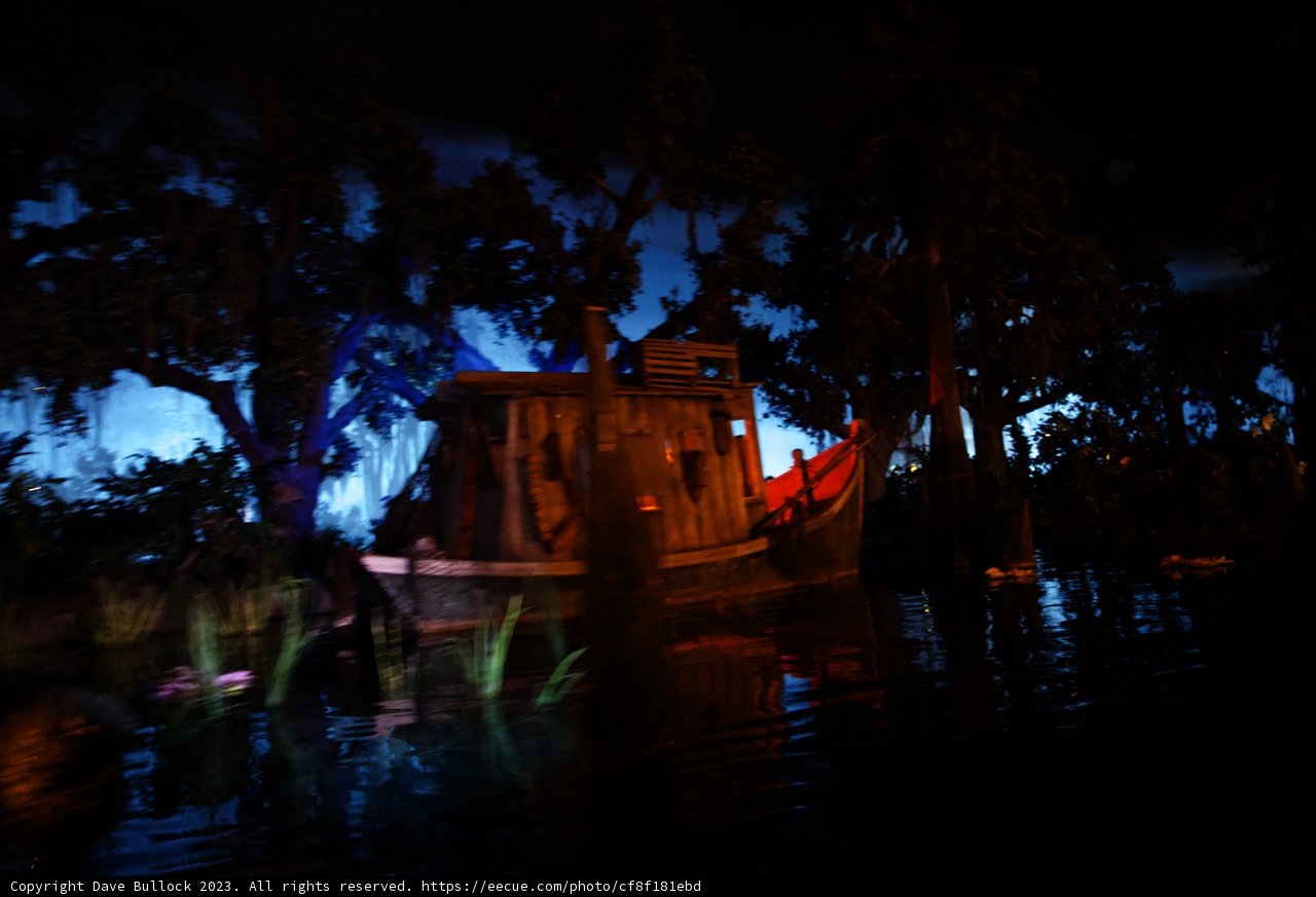 Enchanted Night Escape