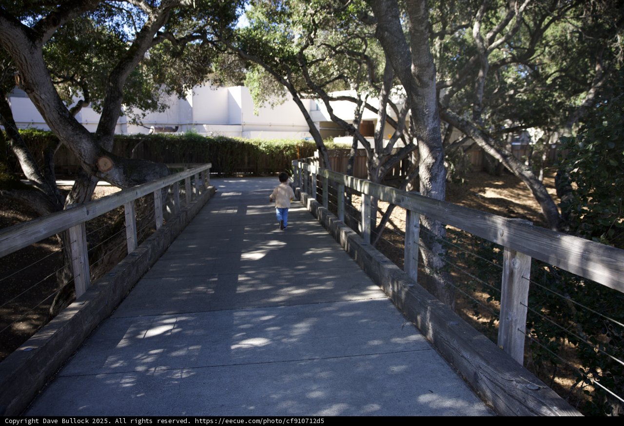 Pathway to Adventure