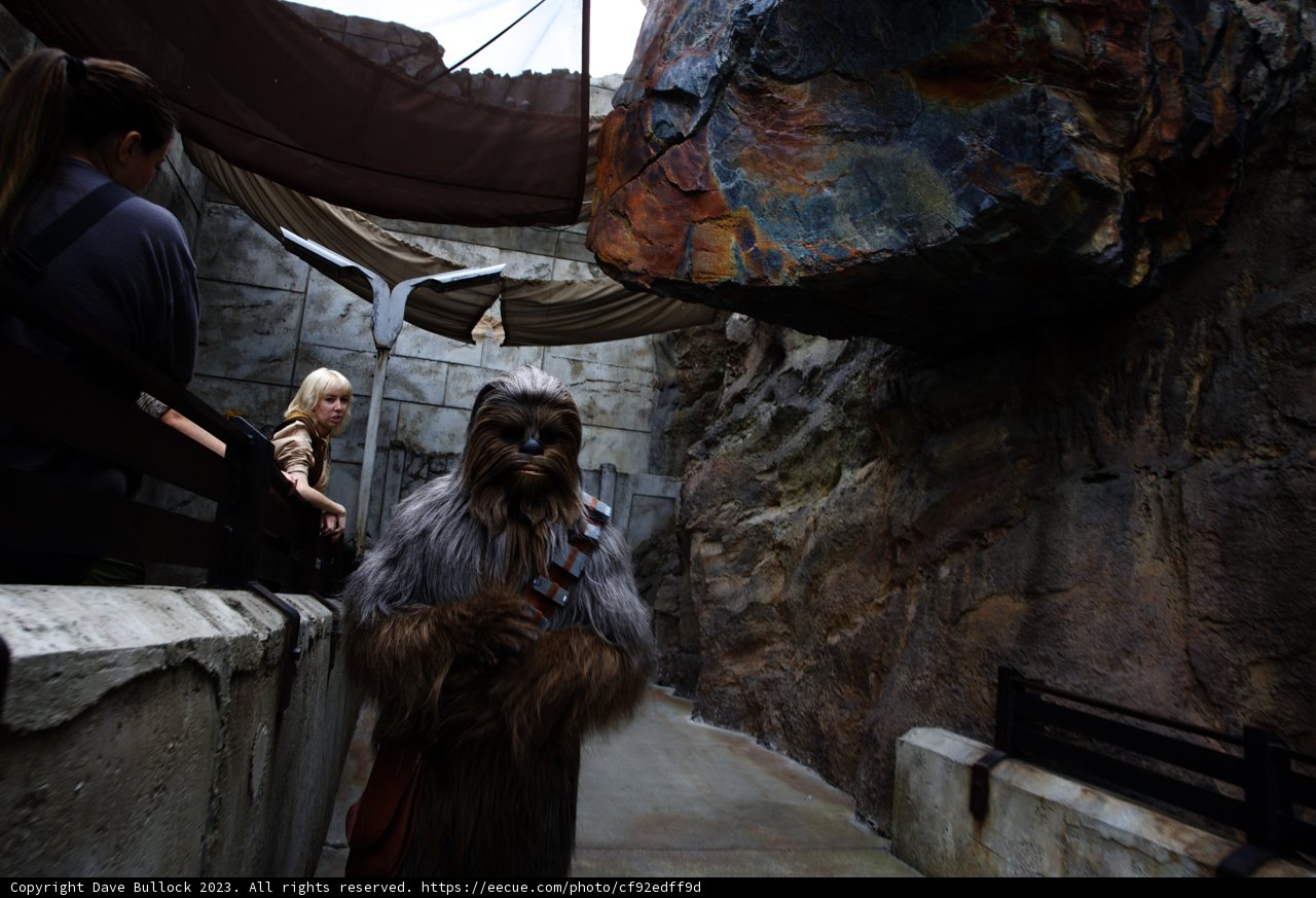 A Galactic Adventure at Star Wars Land