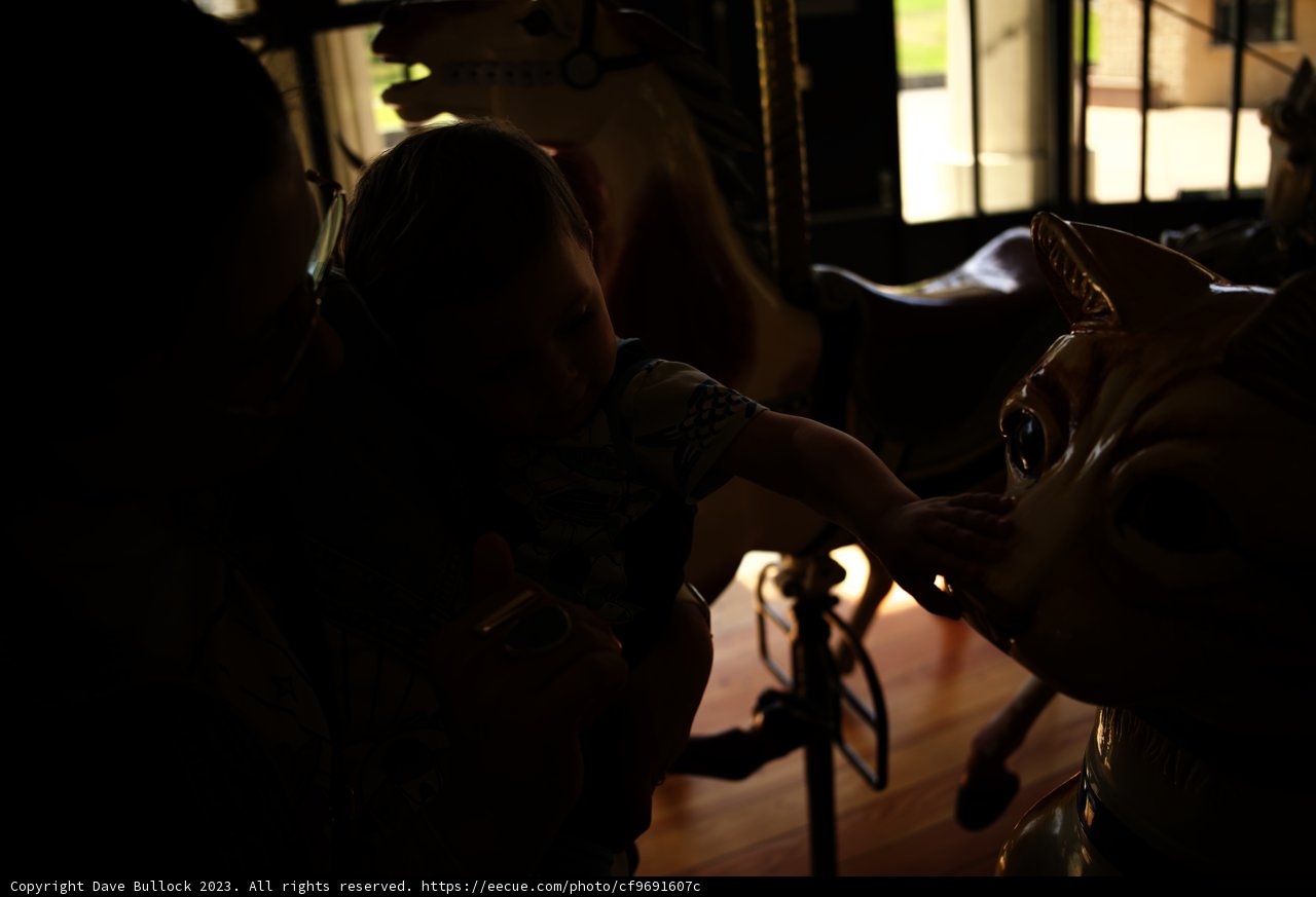 Golden Gate Carousel - A Moment of Joy