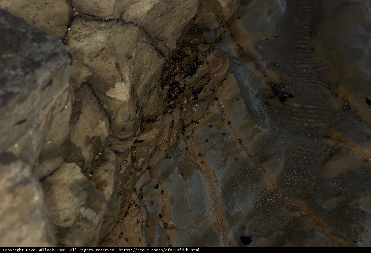 Peekaboo Hole in Slate Rock Wall