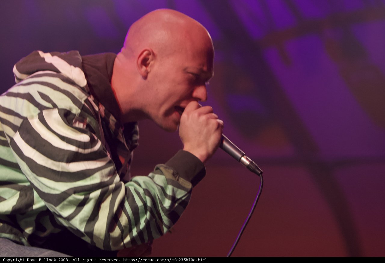 Zebra-Clad Crooner Takes the Stage at Coachella