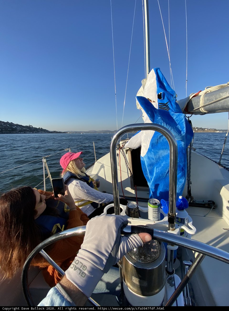Sailing Under the Blue Sky
