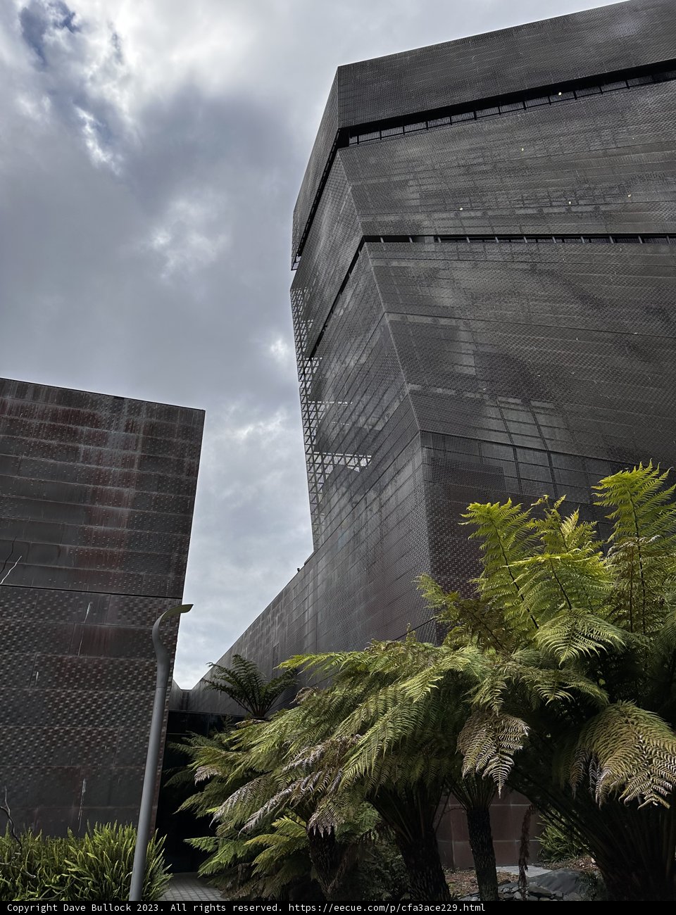 Concrete Building with Lush Tree