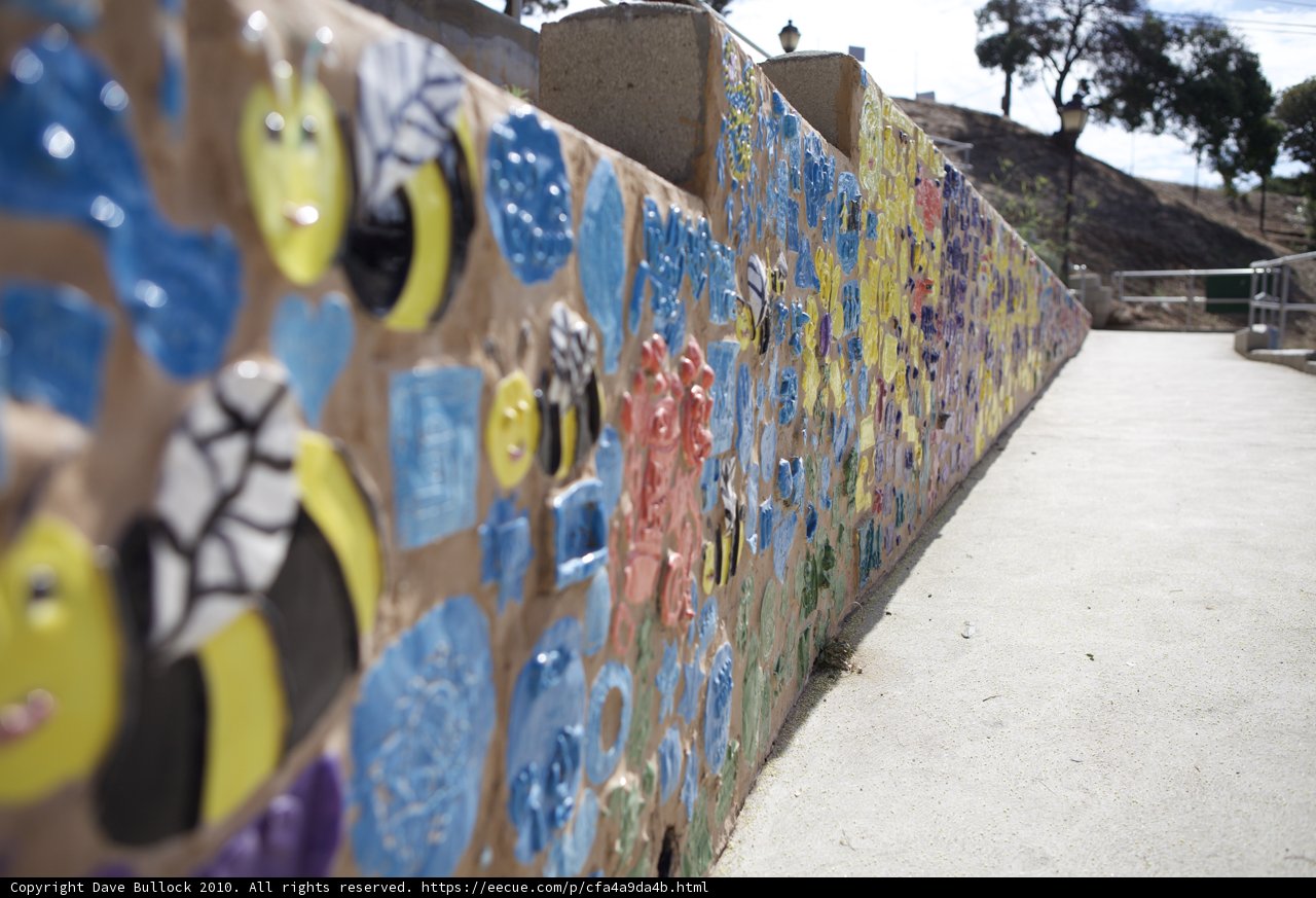 Burst of Colors on the Wall