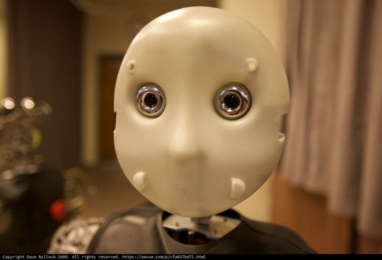 Mysterious Masked Robot