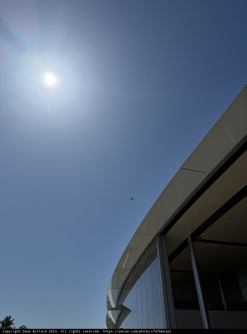 Sunlit Soaring at Apple Park