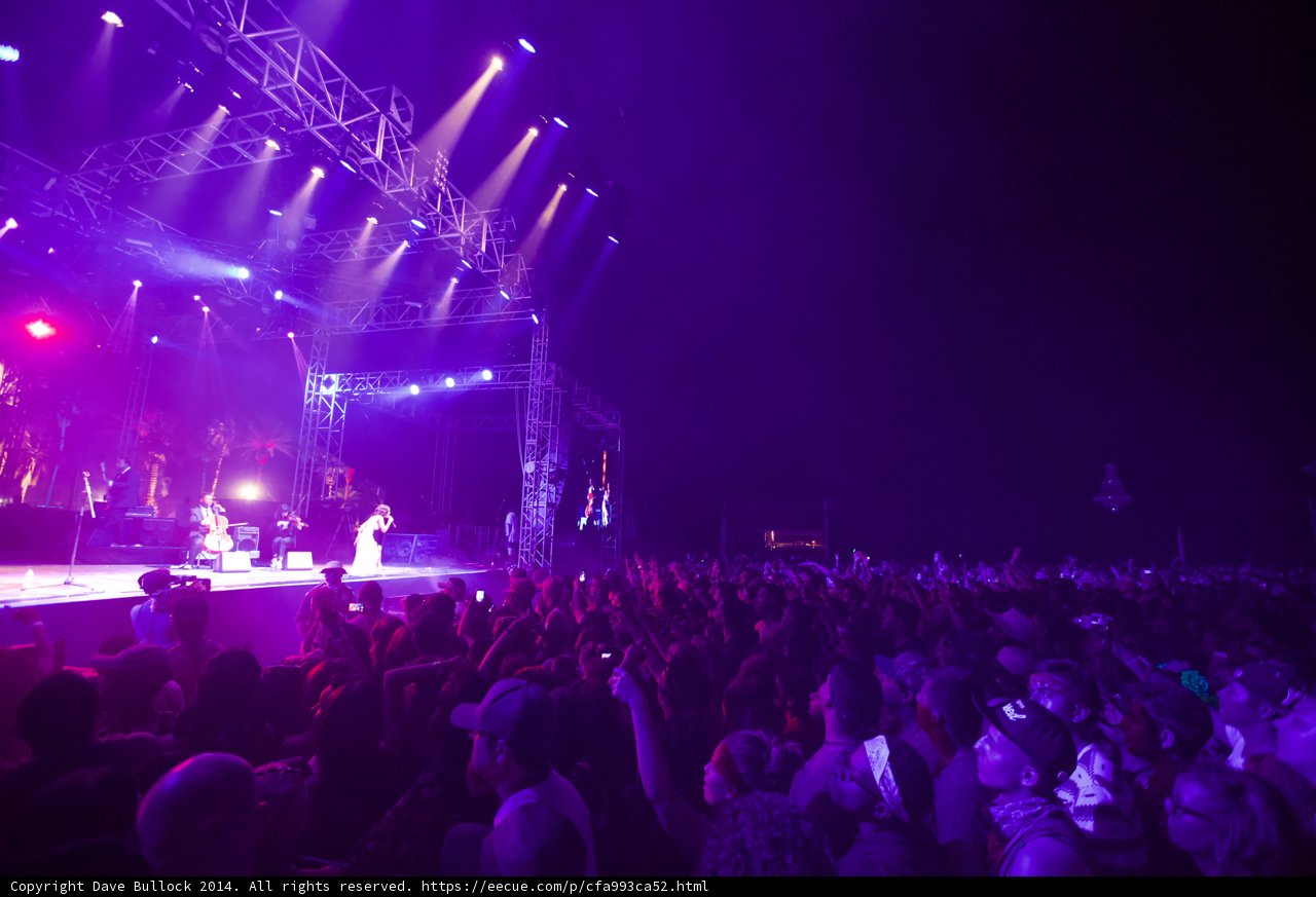 Purple Haze Concert