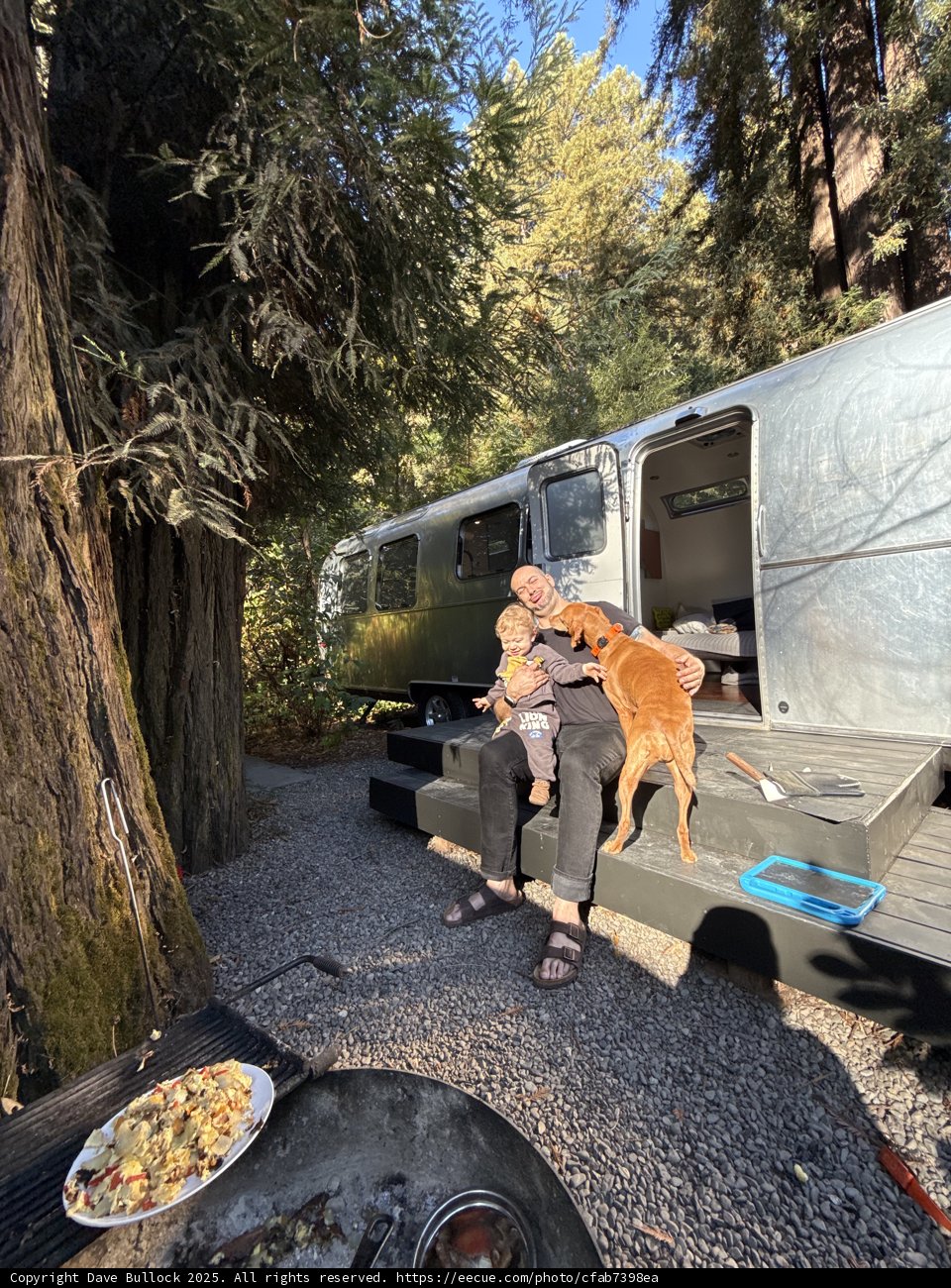 Woodland Retreat in Guerneville